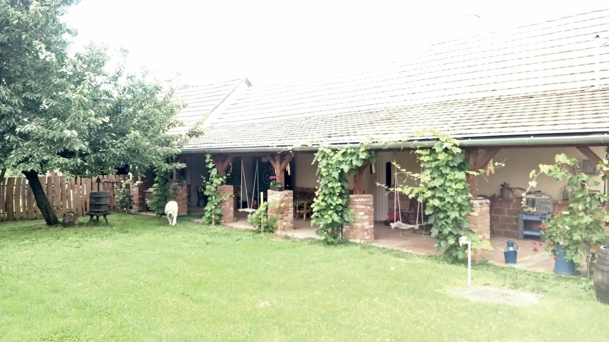 Oereghaz Vendeghaz Apartment Lakhegy Exterior photo